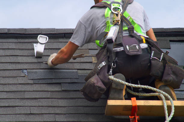 Best Roof Leak Repair  in Canadian Lakes, MI