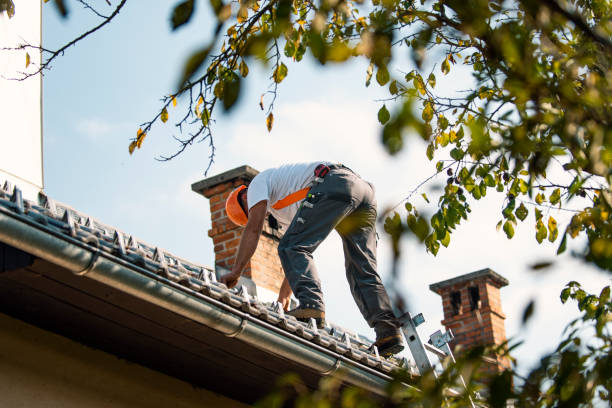 Best Best Roofing Contractors  in Canadian Lakes, MI