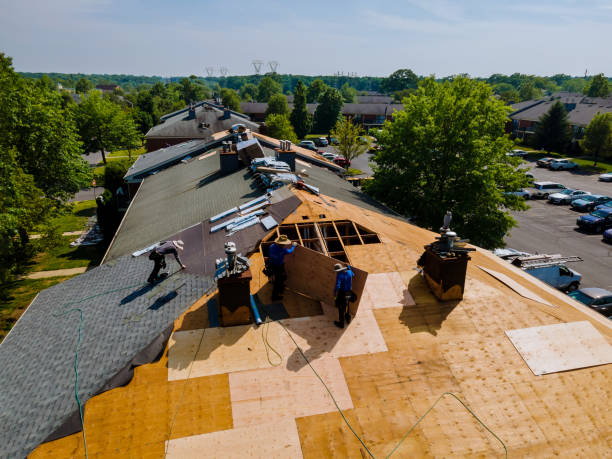 Best Metal Roofing Contractor  in Canadian Lakes, MI