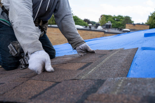 Best Roof Maintenance Services  in Canadian Lakes, MI