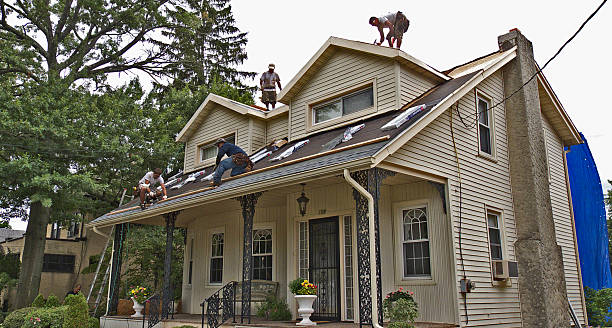 Best Shingle Roofing Installation  in Canadian Lakes, MI