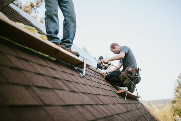 Best Flat Roof Repair Services  in Canadian Lakes, MI