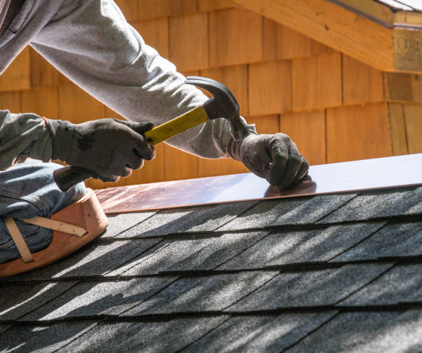 Best Sealant for Roof  in Canadian Lakes, MI